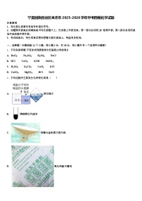 宁夏回族自治区吴忠市2025-2026学年中考四模化学试题（含答案解析）