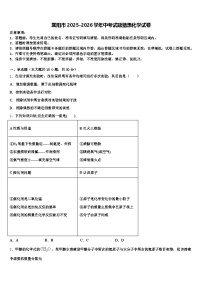 襄阳市2025-2026学年中考试题猜想化学试卷（含答案解析）