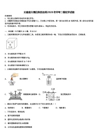 云南省大理白族自治州2026年中考二模化学试题（含答案解析）