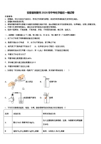 安徽省铜陵市2026年中考化学最后一模试卷（含答案解析）