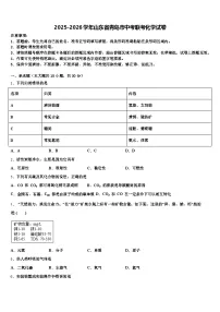2025-2026学年山东省青岛市中考联考化学试卷（含答案解析）