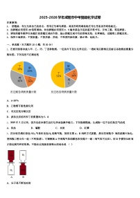 2025-2026学年咸阳市中考猜题化学试卷（含答案解析）