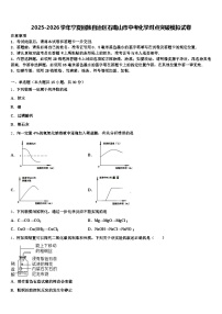 2025-2026学年宁夏回族自治区石嘴山市中考化学对点突破模拟试卷（含答案解析）