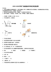 2025-2026学年广东省清远市中考化学仿真试卷（含答案解析）