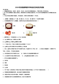 2026年安徽省阜阳市中考适应性考试化学试题（含答案解析）