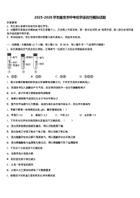 2025-2026学年南充市中考化学适应性模拟试题（含答案解析）