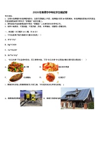 2026年湘潭市中考化学五模试卷（含答案解析）
