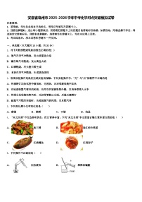 安徽省亳州市2025-2026学年中考化学对点突破模拟试卷（含答案解析）