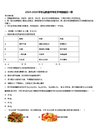 2025-2026学年山西省中考化学考前最后一卷（含答案解析）
