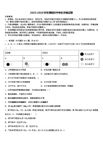2025-2026学年濮阳市中考化学模试卷（含答案解析）
