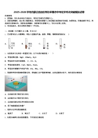 2025-2026学年内蒙古自治区鄂尔多斯市中考化学对点突破模拟试卷（含答案解析）