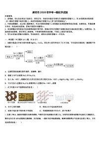 廊坊市2026年中考一模化学试题（含答案解析）