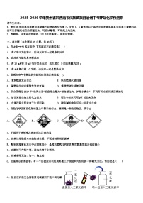 2025-2026学年贵州省黔西南布依族苗族自治州中考押题化学预测卷（含答案解析）