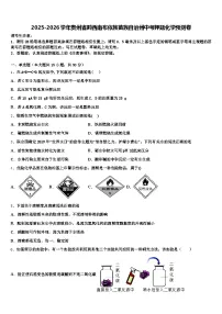 2025-2026学年贵州省黔西南布依族苗族自治州中考押题化学预测卷（含答案解析）