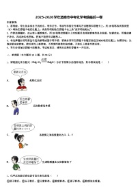 2025-2026学年酒泉市中考化学考前最后一卷（含答案解析）