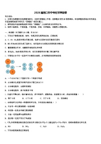 2026届周口市中考化学押题卷（含答案解析）