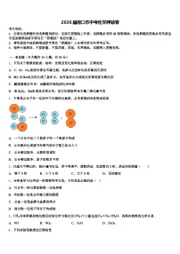 2026届周口市中考化学押题卷（含答案解析）