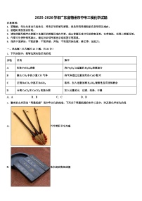 2025-2026学年广东省梅州市中考三模化学试题（含答案解析）
