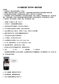 2026届四川省广安市中考一模化学试题（含答案解析）