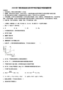 2026年广西壮族自治区玉林市中考化学最后冲刺浓缩精华卷（含答案解析）
