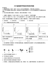 2026届武威市中考适应性考试化学试题（含答案解析）