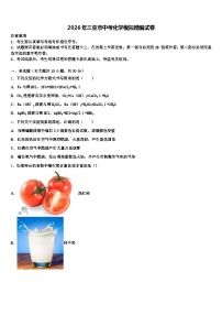 2026年三亚市中考化学模拟精编试卷（含答案解析）