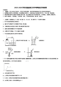 2025-2026学年河南省周口市中考押题化学预测卷（含答案解析）