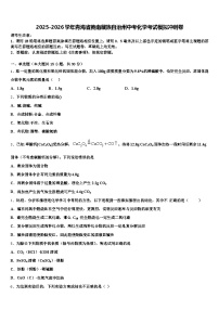 2025-2026学年青海省黄南藏族自治州中考化学考试模拟冲刺卷（含答案解析）