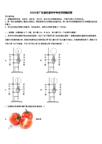 2026年广东省河源市中考化学四模试卷（含答案解析）