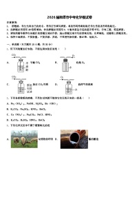 2026届湘潭市中考化学模试卷（含答案解析）