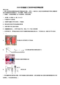2026年河南省三门峡市中考化学押题试卷（含答案解析）
