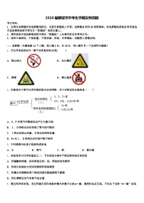 2026届聊城市中考化学模拟预测题（含答案解析）