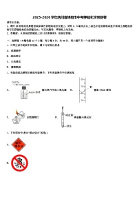 2025-2026学年四川省绵阳市中考押题化学预测卷（含答案解析）