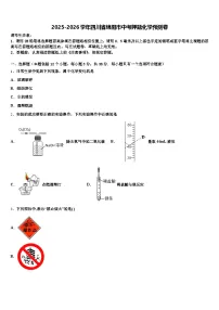 2025-2026学年四川省绵阳市中考押题化学预测卷（含答案解析）