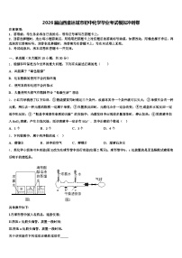 2026届山西省运城市初中化学毕业考试模拟冲刺卷（含答案解析）