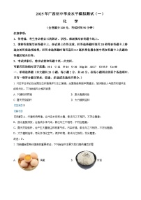 2025年广西初中学业水平模拟测试（一）化学（解析版）-A4