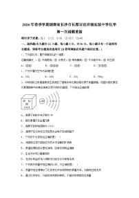 湖南省长沙市长郡双语洋湖实验中学2025-2026学年九年级下学期化学第一次学情自测试卷含答案
