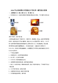 2026年山东省泰安市岱岳区中考一模考前示范化学卷含答案
