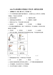 2026年山东省泰安市岱岳区中考化学一模考前示范卷(3)含答案
