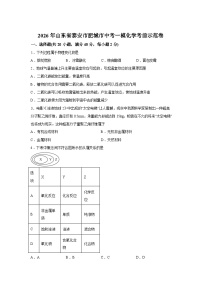 2026年山东省泰安市肥城市中考一模化学考前示范卷含答案