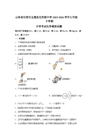 山东日照市五莲县北京路中学2025-2026学年九年级下学期开学学情自测化学试题含答案
