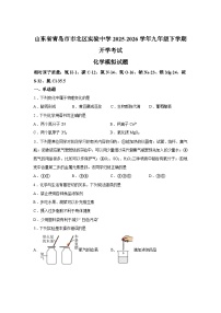 山东青岛市市北区实验中学2025-2026学年九年级下学期开学考试化学模拟试题含答案