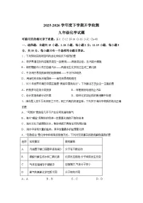山东日照市东港区新营中学2025-2026学年九年级下学期化学收心练习含答案
