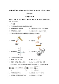 山东菏泽市郓城县第一中学2025-2026学年九年级下学期学情自测化学模拟试题含答案