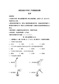陕西咸阳市实验中学2025-2026学年九年级下学期摸底检测化学试题含答案