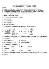 2026届湖南省永州市中考化学最后一模试卷（含答案解析）