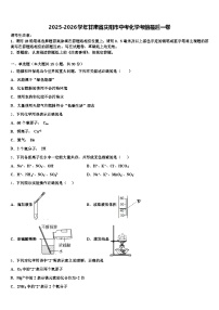 2025-2026学年甘肃省庆阳市中考化学考前最后一卷（含答案解析）