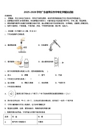 2025-2026学年广东省肇庆市中考化学模拟试题（含答案解析）