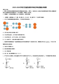2025-2026学年江苏省苏州市中考化学考试模拟冲刺卷（含答案解析）