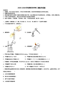2025-2026学年焦作市中考二模化学试题（含答案解析）